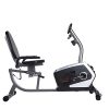Sunny Health & Fitness Magnetic Recumbent Exercise Bike