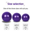 Exercise Ball Extra Thick Yoga Ball Chair, Anti Burst Stability Ball