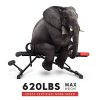 Adjustable Workout Bench for Home Gym Weight Bench