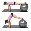 PROMIC Exercise Ball (65 cm) with Foot Pump, Professional Grade Anti Burst