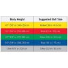 TheraBand Exercise Ball, Stability Ball with 65 cm Diameter for Athletes