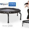 Workout Mini Trampoline with Premium Bungees
