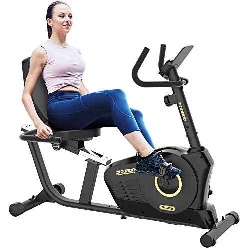 Magnetic Cycling Stationary Bike for Home Workout