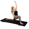 Sunny Health & Fitness Folding Gymnastics Tumbling Mat