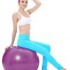 Anti-Burst Heavy Duty Gym Ball Stability