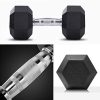 20 Pound Dumbbell Weights Pair Hex Barbell Training Exercise