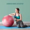 Yoga Ball for Home Gym & Desk Chair