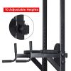 Power Tower Dip Station High Capacity 800lbs w/Weight Sit Up Bench