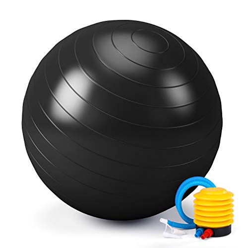 TWING Exercise Ball (55cm) Heavy-Duty Stability Ball
