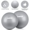 Exercise Ball (65-75CM), AMBOR Extra Thick Anti-Burst & Non-Slip