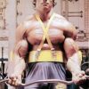 Maximize Curl Performance with the Sports Arm Blaster – Biceps Isolation Tool