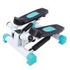 AYNEFY Fitness Stepper Step Machine, Indoor Stair Stepper Leg
