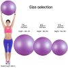 Anti-Burst Heavy Duty Gym Ball Stability