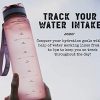 Dark Grey 65cm Exercise Ball, Rose Gold Water Bottle