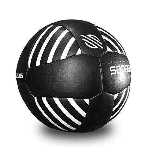 Sanabul Lab Series Exercise and Fitness Medicine Balls
