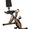 Exerpeutic Gold Folding Recumbent Exercise Bike