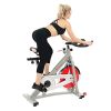 Sunny Health & Fitness Spin Bike Pro Indoor
