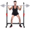 DOYCE Squat Rack Barbell Rack 550LBS Max Load Dip Station