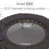 Workout Mini Trampoline with Premium Bungees