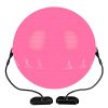 PACEARTH Exercise Ball, 65cm Thick Yoga Ball Chair