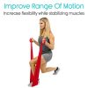 Vive Flat Resistance Band (5 Piece Set) - Elastic Exercise Equipment