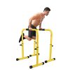 SHINYEVER Multifunctional Dip Stand Station - Dip Bars Fitness for Home
