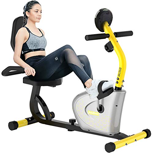 Pooboo Recumbent Exercise Bike Magnetic for Adults Seniors