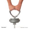 Kettlebell Handle for Use with Weight Plates
