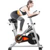 Merax Indoor Cycling Bike - Stationary Exercise Bike
