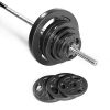 CAP Barbell Cast Iron 1" Standard Grip Plate for Strength Training