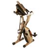 Exerpeutic Gold Folding Recumbent Exercise Bike