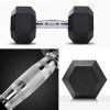 Hex Rubber Dumbbell with Metal Handles