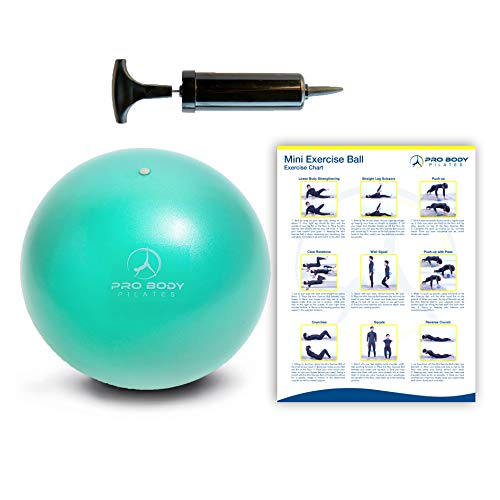 Core Training and Physical Therapy Mini Exercise Ball with Pump