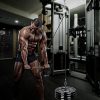antWalking Forearm Wrist Roller Trainer, Pulley Cable System