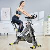 pooboo Indoor Exercise Bike Commercial Stationary Bike