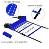 Maximize Athletic Performance with the Agility Ladder Training Set: Ideal for Soccer, Football, and Sports Enthusiasts, 12Rung 20ft Kit with Cones and Stakes