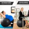 SMARTOR Exercise Ball 65CM Fitness Ball, Anti-Burst Stability Ball
