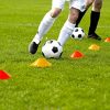 Complete Agility Training Set with 12 Rung 20Ft Agility Ladder, 12 Field Cones, 4 Steel Stakes, and Carrying Bag - Ideal Footwork Equipment for Soccer, Football, Boxing, and More