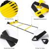 Complete Agility Training Set with 12 Rung 20Ft Agility Ladder, 12 Field Cones, 4 Steel Stakes, and Carrying Bag - Ideal Footwork Equipment for Soccer, Football, Boxing, and More
