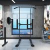 Power Tower Adjustable Height Pull Up and Dip Station