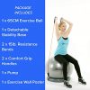 Home Gym Bundle Exercise Ball with Attachable 15lb Resistance Bands