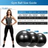 TOPLUS Exercise Ball Supports 2200lbs Includes Quick Pump