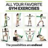 Premium Exercise Bands and Door Anchor | Fitness, Physical Therapy
