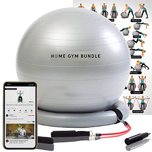 Home Gym Bundle Exercise Ball with Attachable 15lb Resistance Bands