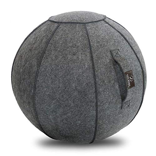 Sitting Ball Chair with Handle for Home, Office