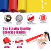 Resistance Bands Set,Exercise Bands for Physical Therapy