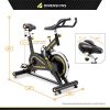 CIRCUIT FITNESS Circuit Fitness 40 lbs. Flywheel Deluxe Club