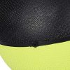 Epetlover 6 lbs Medicine Ball Exercise Weighted Fitness