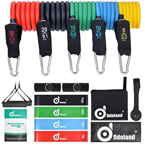 Resistance Bands Set, Exercise Workout Bands with Handles