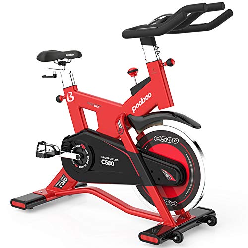 L NOW Indoor Cycling Bike Exercise Bike Stationary Commercial Standard